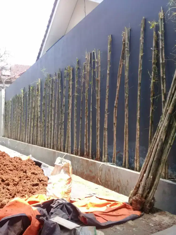 Pembuatan taman minimalis