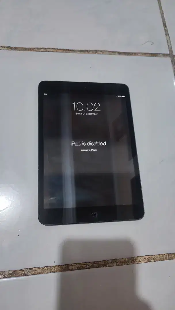 Apple Ipad Mini