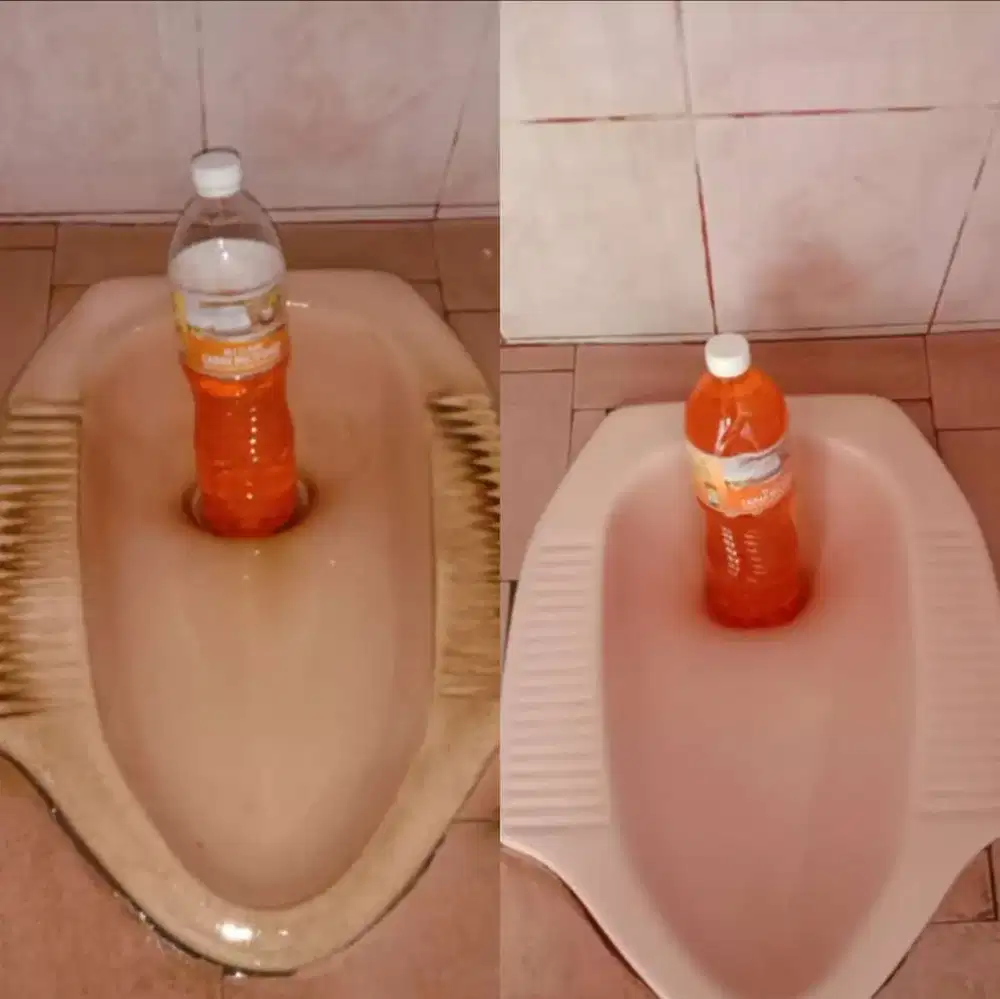 Pembersih Kerak Membandel