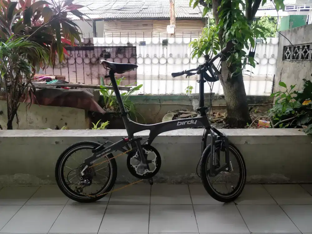 Jual birdy bike sale