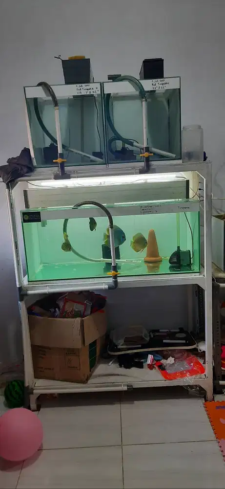 Rak ikan holo galvanis