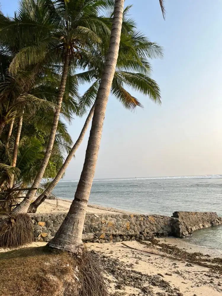 dijual tanah pinggir pantai Tanjung setia , Krui