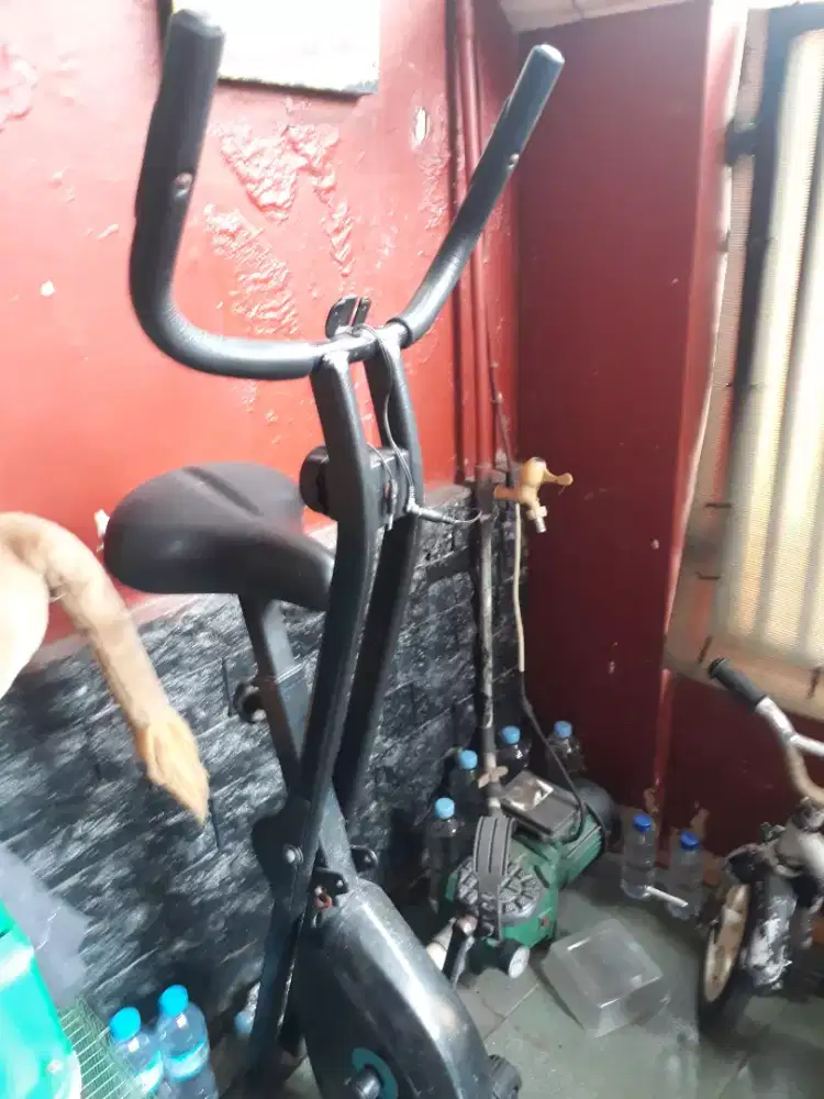 Sepeda statis berwyn ori pembrlian ace hardware