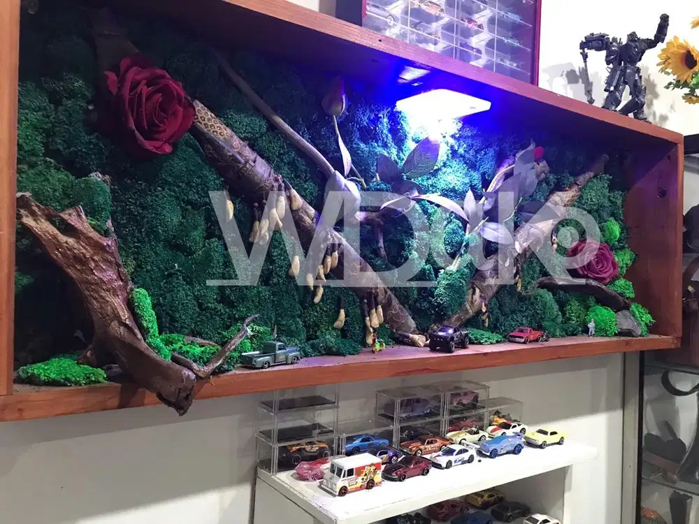 Moss preserved darat