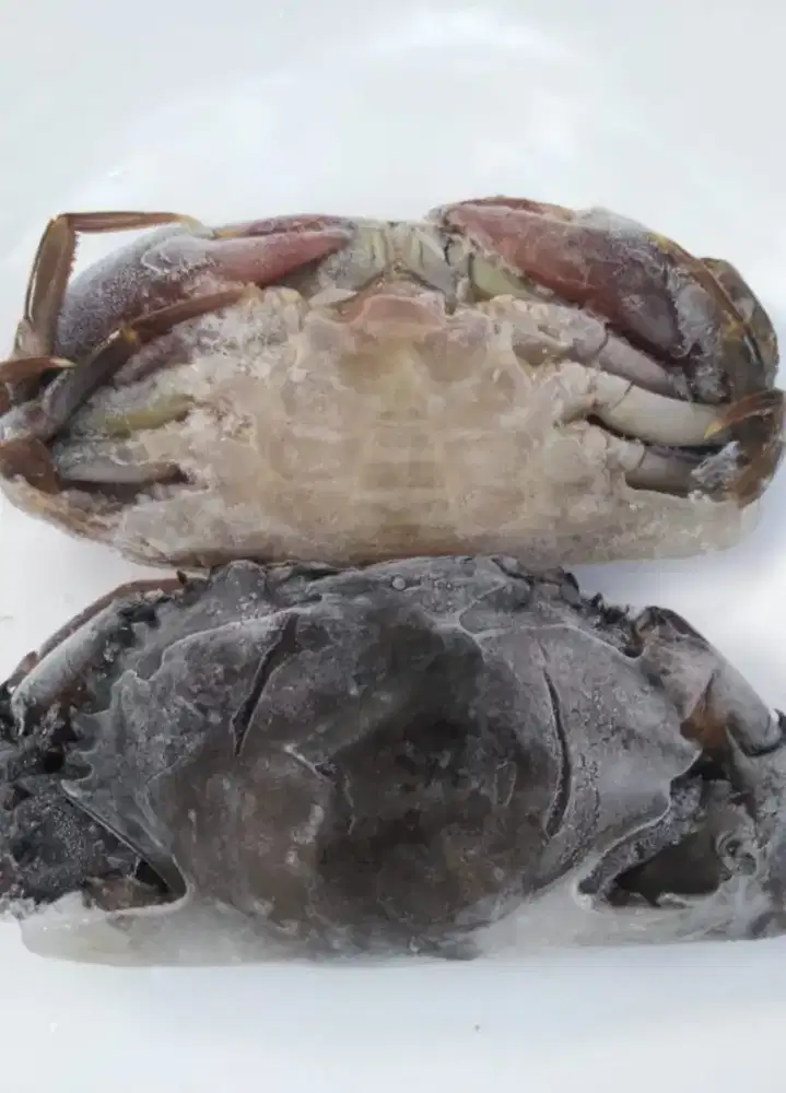 Kepiting soka beku / kepiting cangkang lunak