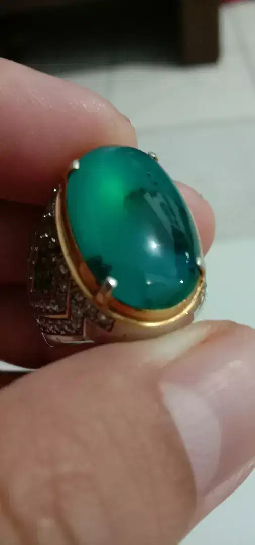 Bacan Doko Giwang Coklat Encer Perak