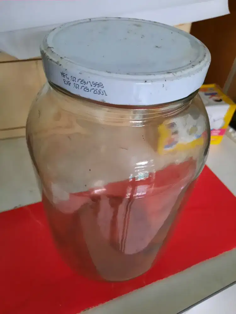 3 topless kaca untuk ikan cupang, @