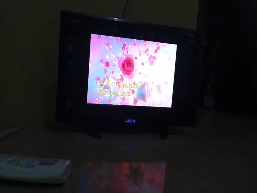 Tv LED 25 inci digital