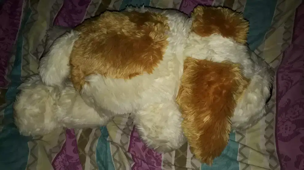 Boneka funny dog white brown edition