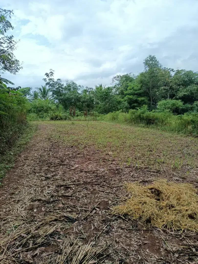 Jual Tanah 10.770 Rangkas Bitung