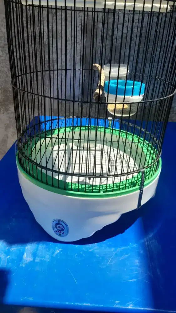 Sangkar LB PVC + Lovebird Batman