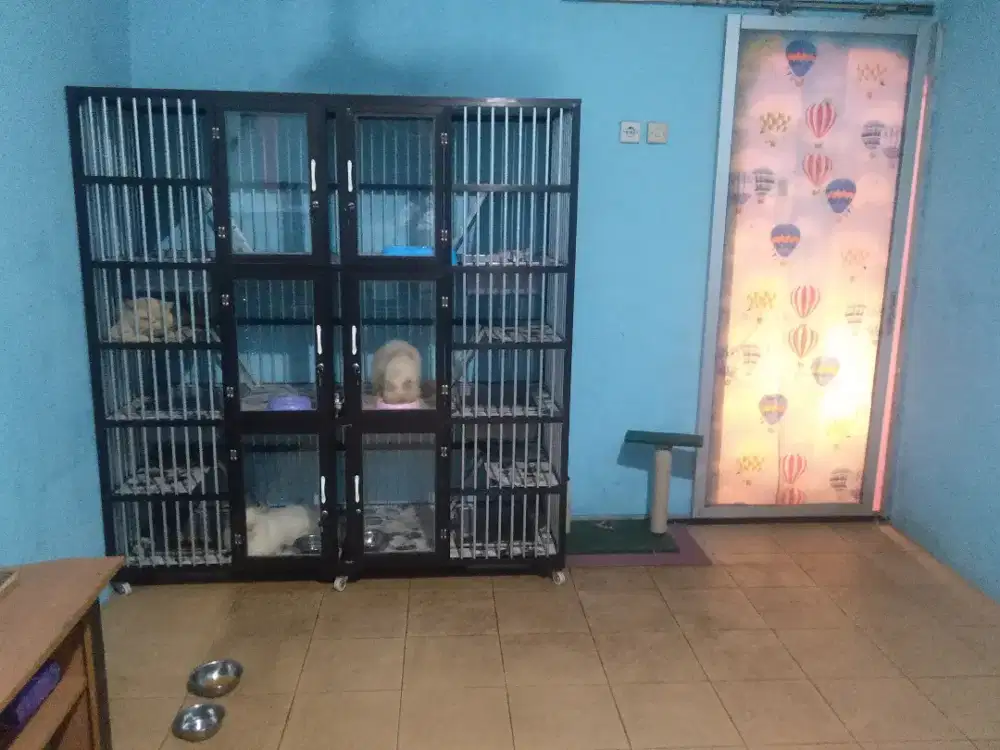 Penitipan Kucing daerah Tangerang (Pet Hotel)