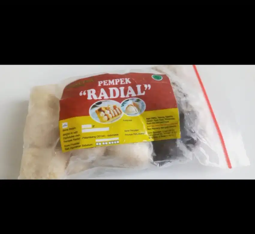 Pempek radial palembang