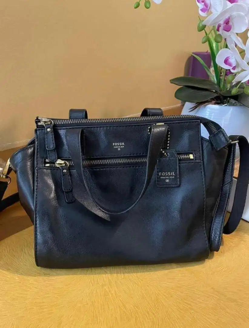 TAS FOSSIL PRELOVED