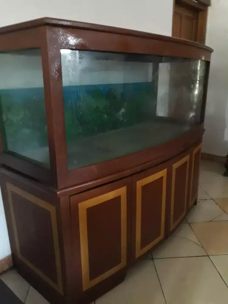 Aquarium ikan Buffet kaca cembung