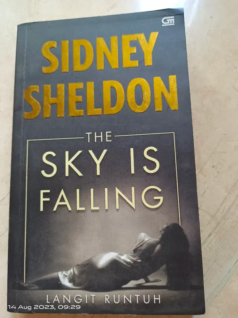 Sidney Sheldon The Sky Is Falling