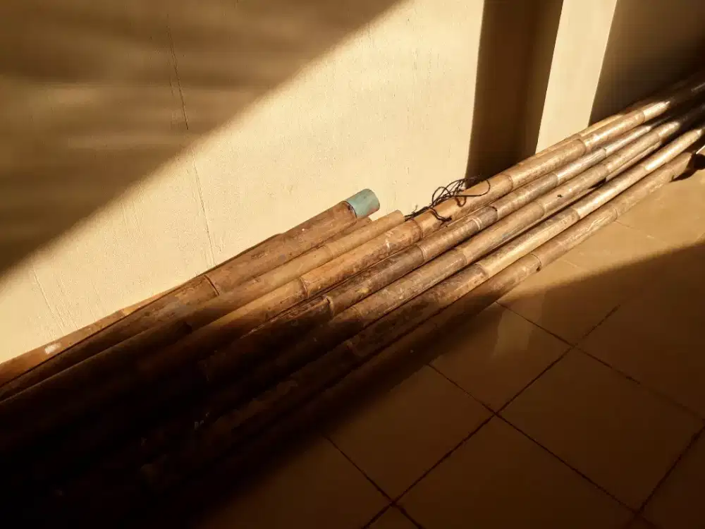 Puluhan Batang.Bambu