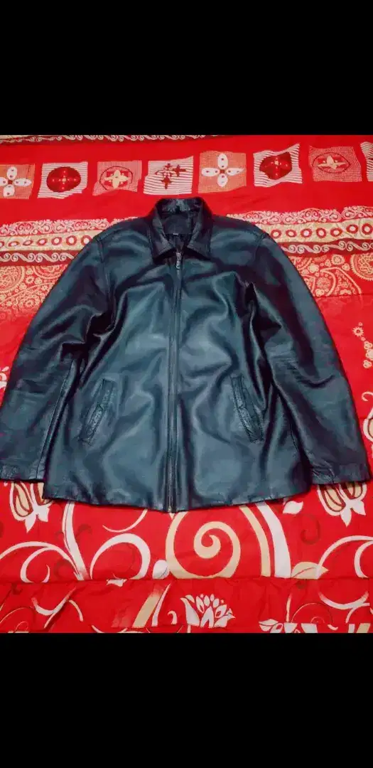 Jaket kulit asli kulit Domba