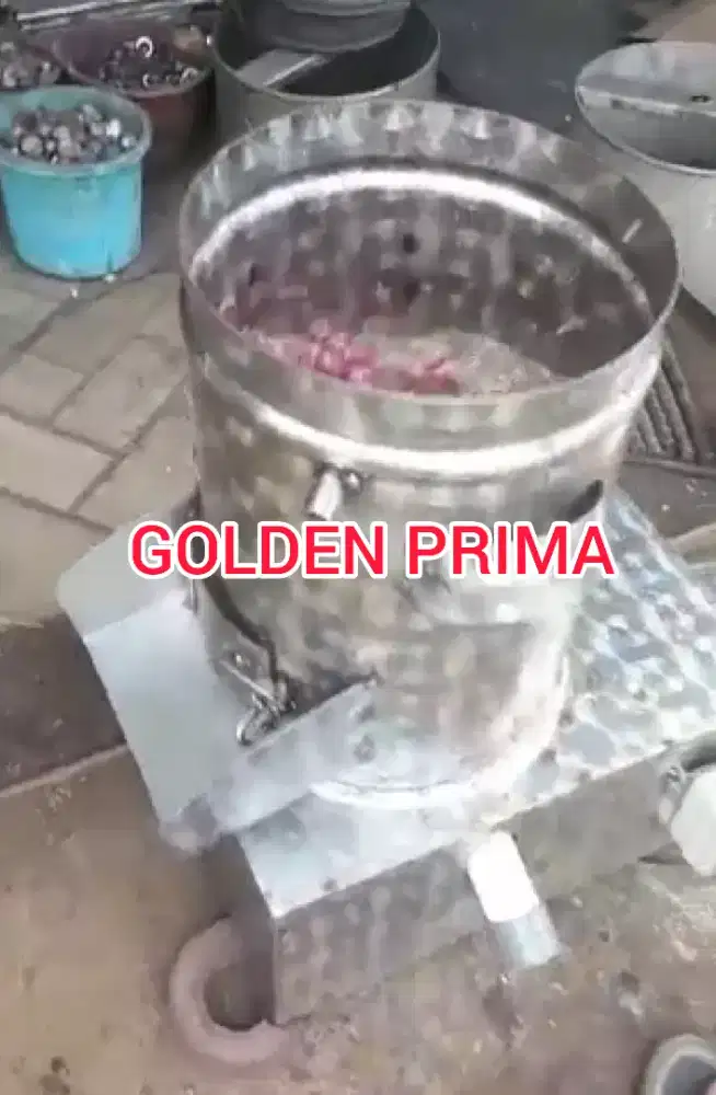 MESIN KUPAS KULIT BAWANG / MERAH GP