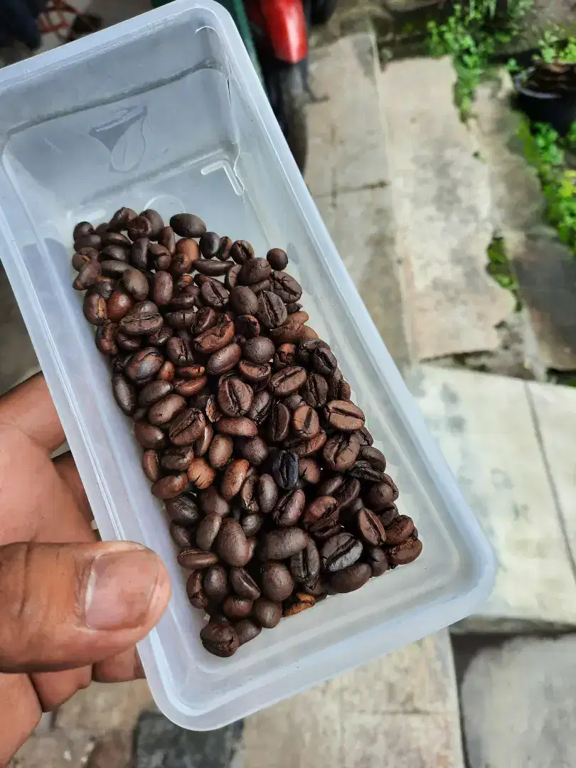 Kopi murah dan enak