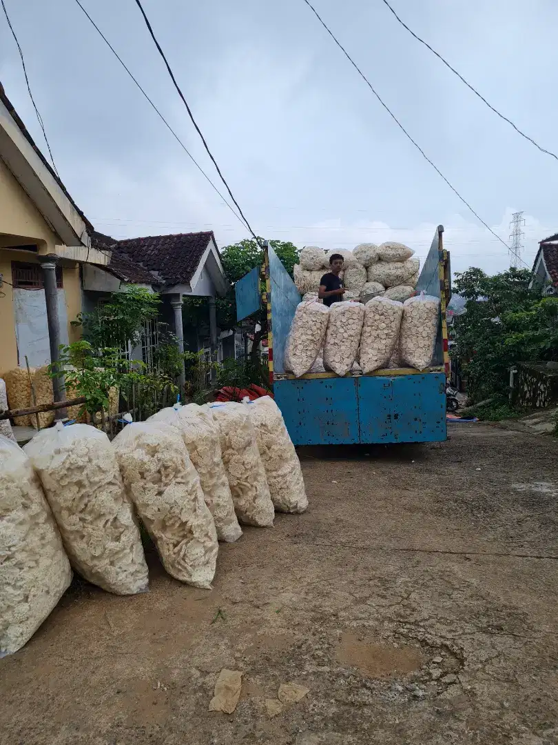 Kerupuk palembang bulat mentah