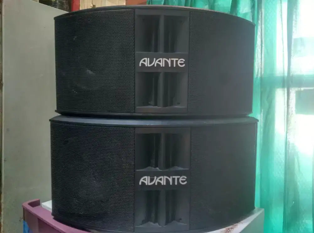 Speker Karaoke Avante 8 dbl woofer NOS ok