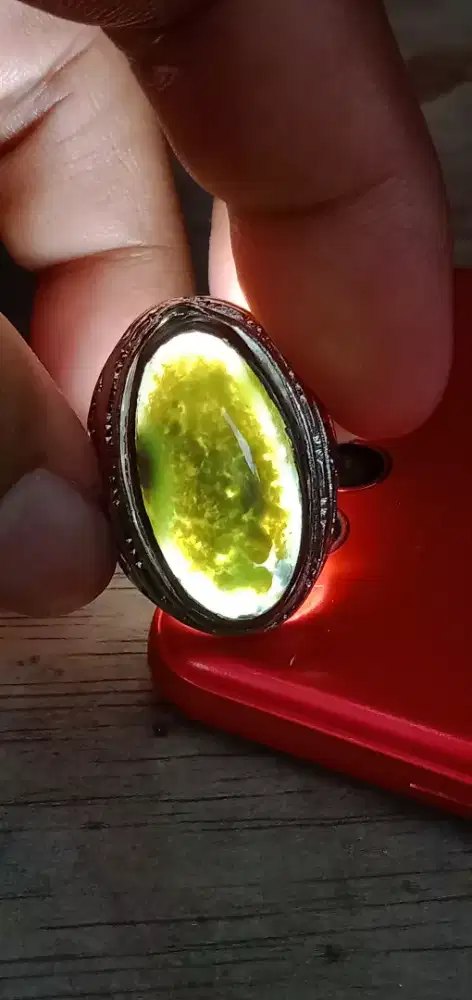 Bacan Doko gulau ( 23118 )