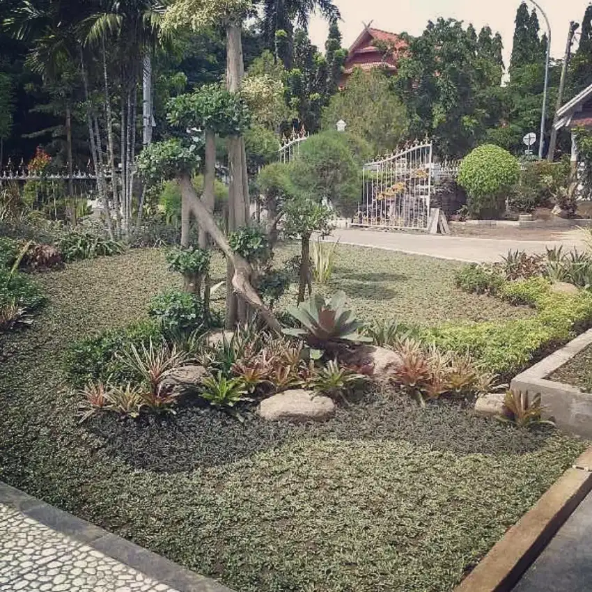 Taman hias dan rumput hias