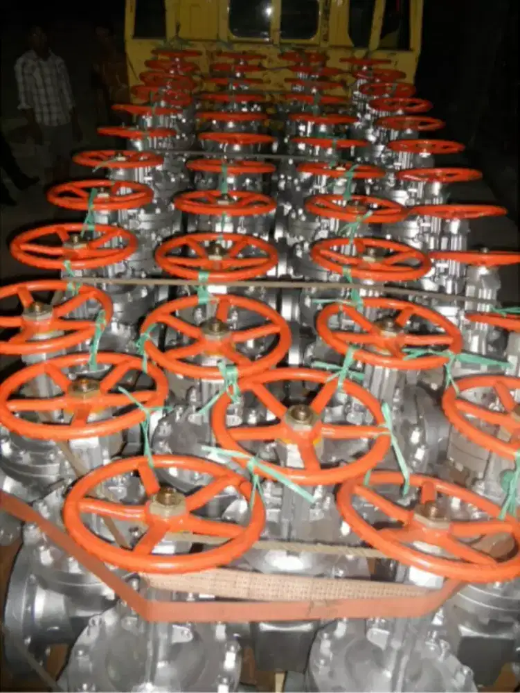 Gate Valve & Globe Valve