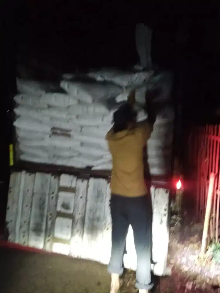 Cocopeat Murah Berkualitas