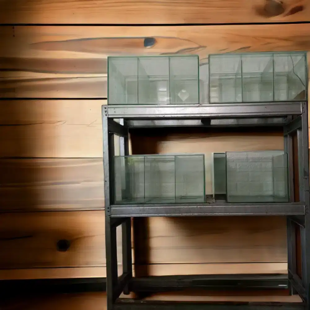 Rak Ikan dan Akuarium