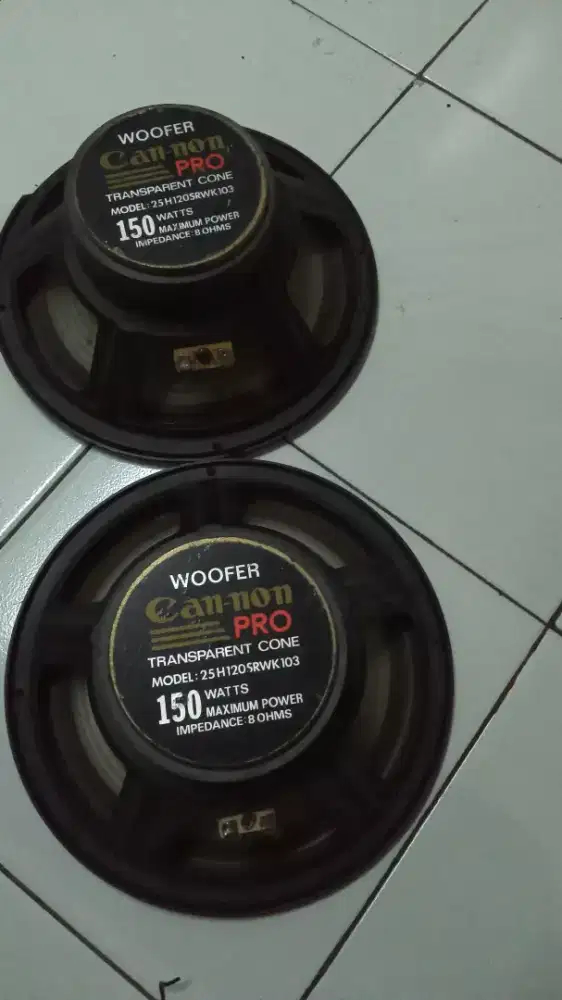 Speaker pasif Canon Pro