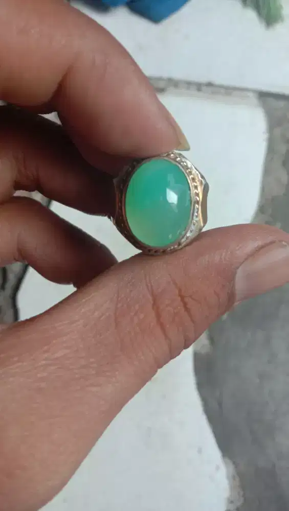 Natural garut cikolak