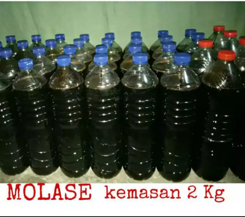 MOLASE KEMASAN ISI 2 kg