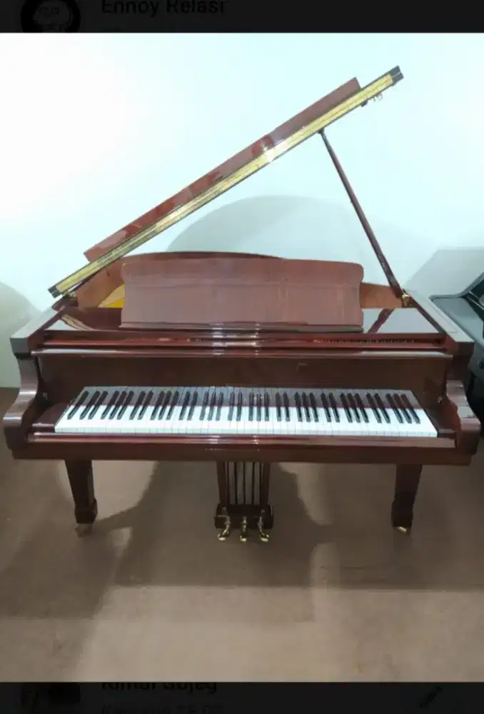 Jaul piano baby grand Petrof