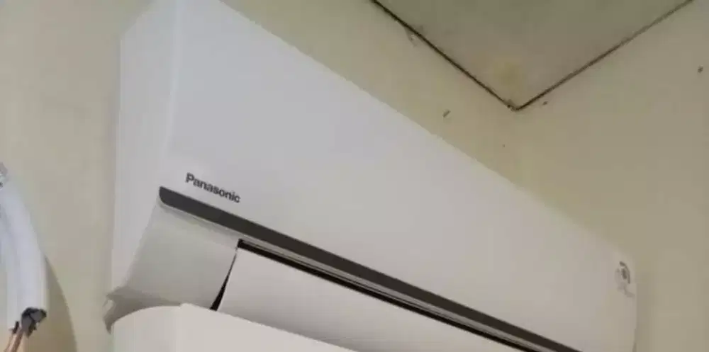 panaswonic low watt  1/2 pk