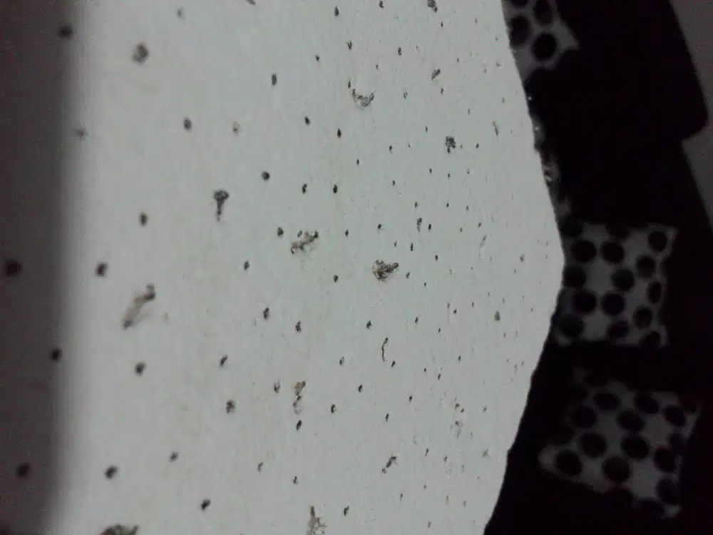 peredam suara plafon akustik ruang hall ballroom auditorium meeting