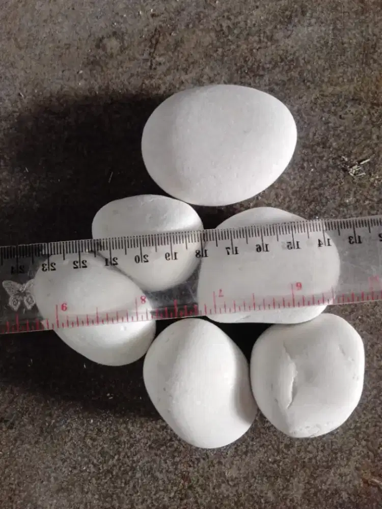 Batu putih batu Kupang,batu kerikil,koral sikat