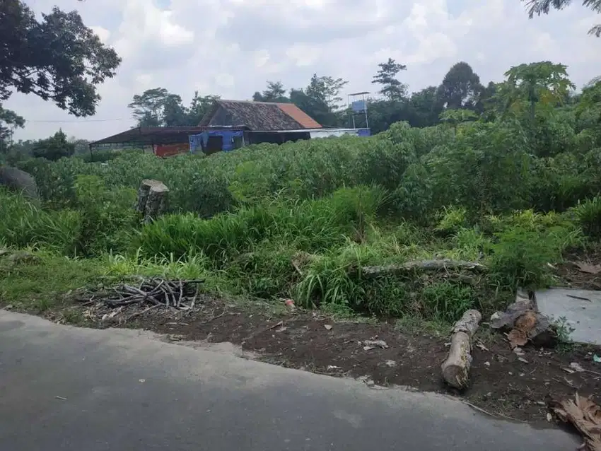 Tanah murah di selatan Umbul Pengging ( utara Kebon Ace )