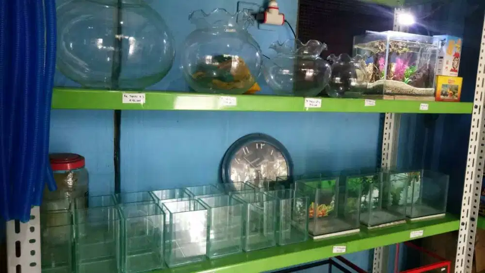 Aquarium toples bulat DLX