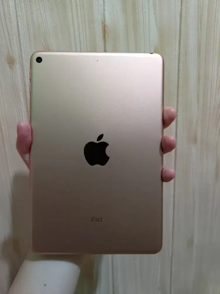 Ipad Mini 5 64Gb Wifi Ex Ibox Preloved