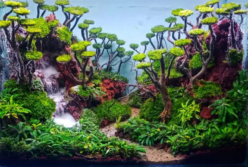 Aquarium design aquascape tema 60x40 cm