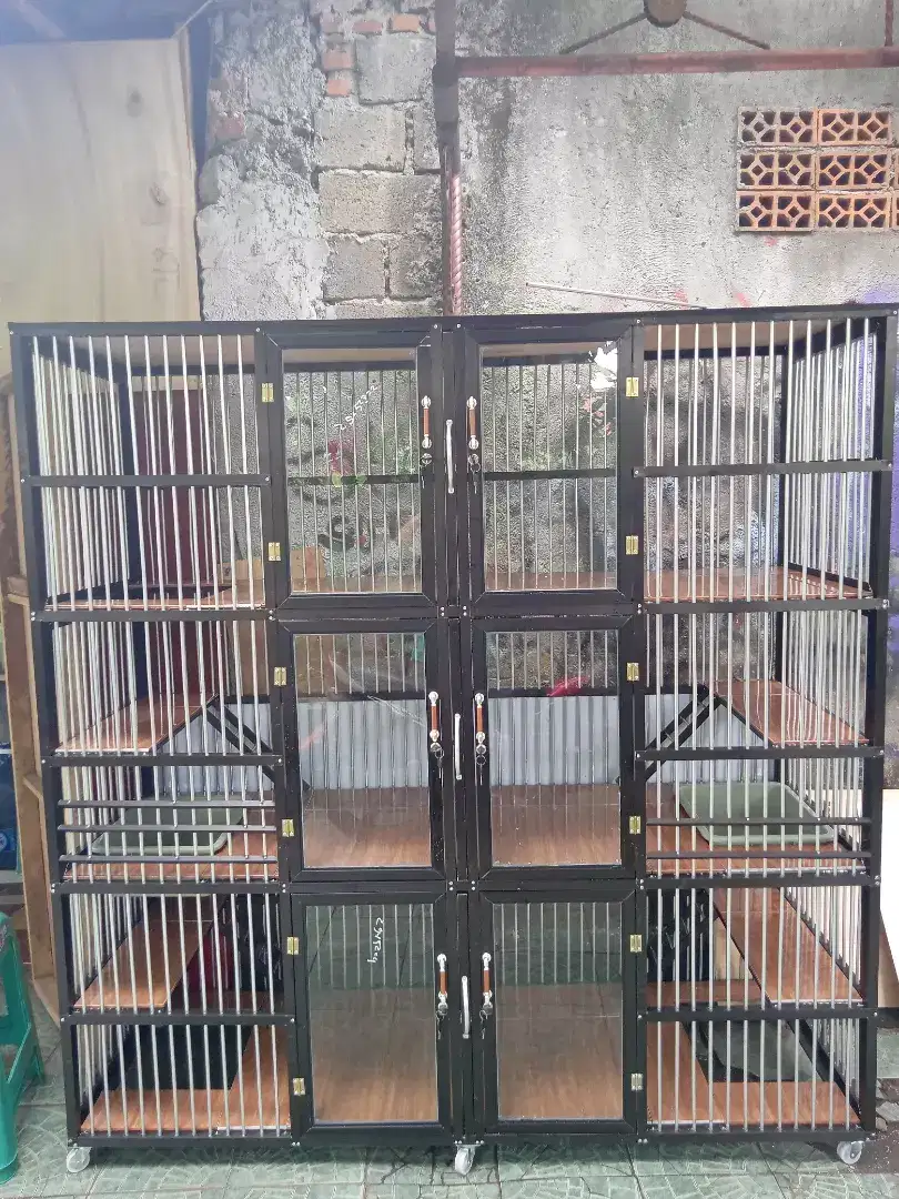 Apartemen kucing murah berkualitas