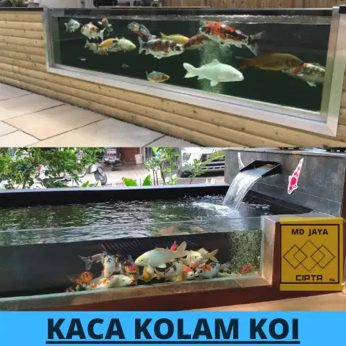 kaca kolam koi desain sekat kolam kaca tempered garansi terbaru