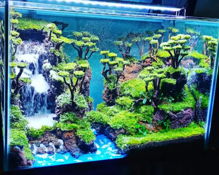 Design aquascape waterfall akuarium hias