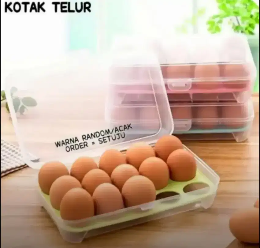 Box Telur Praktis