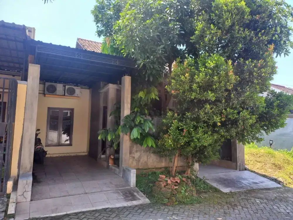DIJUAL RUMAH MENDUT HIJAU REGENCY BLOK P NO.7 BANYUWANGI