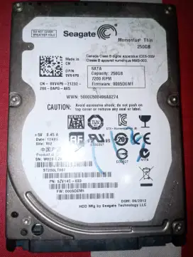 Hard disk Merk Seagate 250 GB