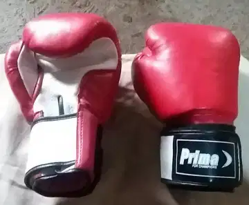 Jual cheap glove boxing