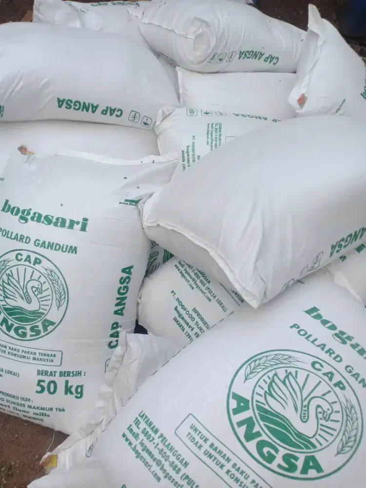 Pollard Polar Gandum Cap Angsa Pakan Ternak